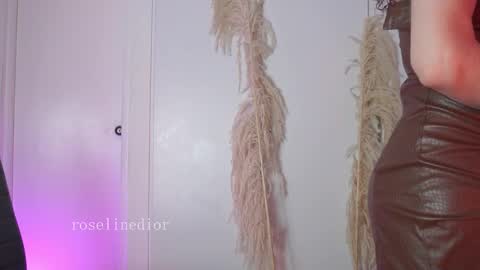 Snapshot of roselinedior chatting on 01.13.26 Lyla OF roselinedior online show from 01.13.26