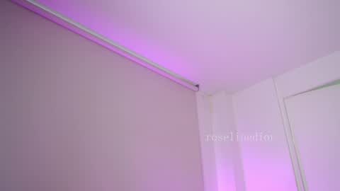 Snapshot of roselinedior chatting on 02.04.26 Lyla OF roselinedior online show from 02.04.26