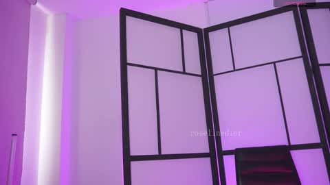 Snapshot of roselinedior chatting on 02.18.26 Lyla OF roselinedior online show from 02.18.26