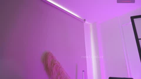 Snapshot of roselinedior chatting on 02.19.26 Lyla OF roselinedior online show from 02.19.26