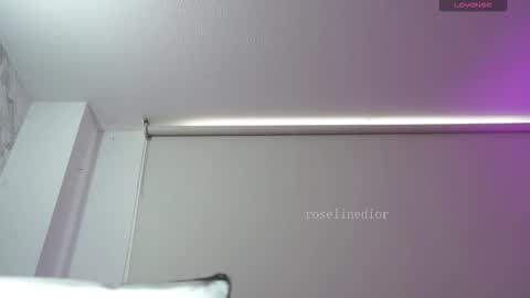 Snapshot of roselinedior chatting on 02.28.26 Lyla OF roselinedior online show from 02.28.26