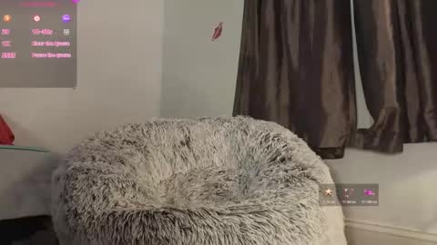 Rose   online show from 04.13.26