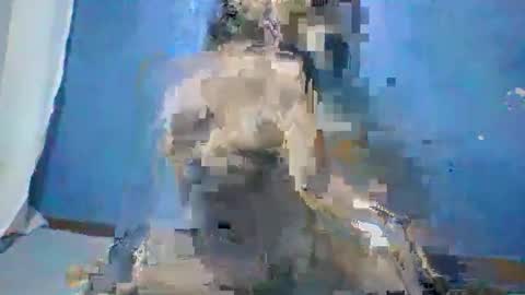 Roseyaa online show from 10.26.25