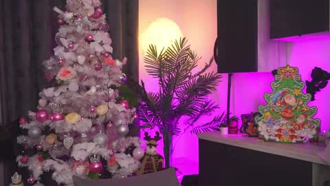 Amii online show from 12.25.24