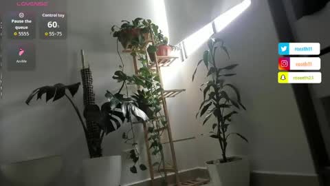 Im Ross   online show from 04.05.26