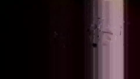 rotorranch online show from 10.13.25