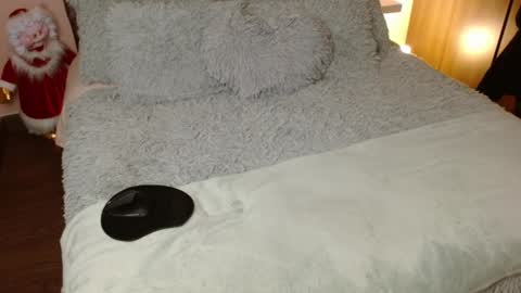 Snapshot of rouss_henao chatting on 12.20.24 Rouss marie henao online show from 12.20.24