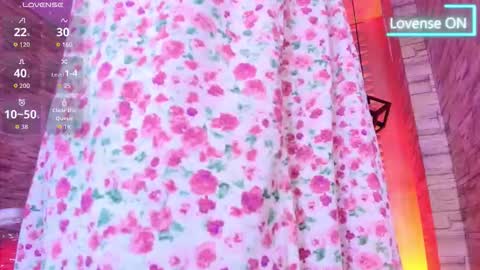 Snapshot of roxanne_han chatting on 02.06.26 roxanne_han online show from 02.06.26