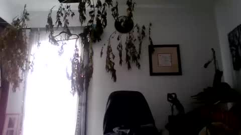 Roy Murrin online show from 10.10.25