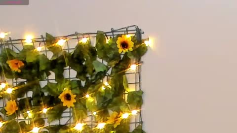 Snapshot of rubby_grace chatting on 02.14.25 Rubby grace online show from 02.14.25