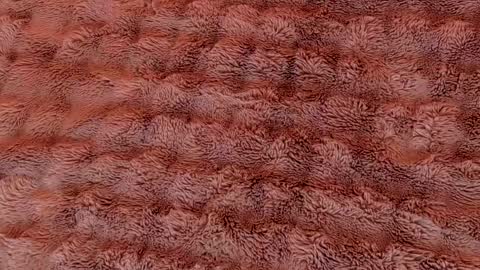 Ruby Luxe online show from 04.05.26