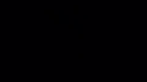 ruicatgtg online show from 02.27.25