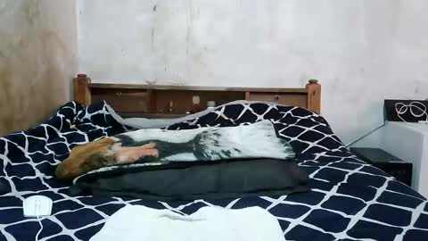 ruu_prettygal online show from 04.04.26