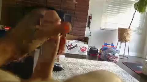 ryanbobby88 online show from 09.25.25