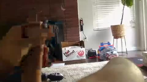 ryanbobby88 online show from 09.27.25