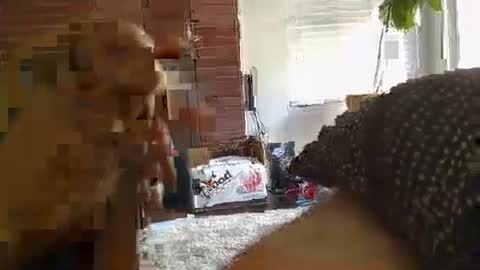 ryanbobby88 online show from 09.28.25