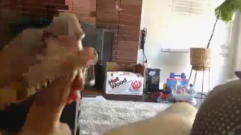 ryanbobby88 online show from 10.01.25