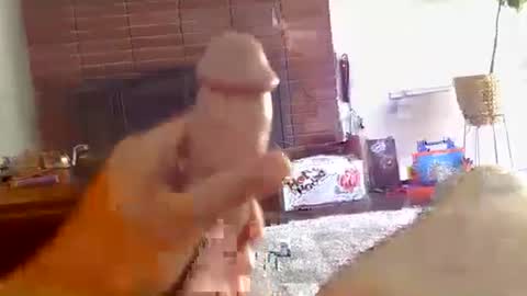 ryanbobby88 online show from 10.16.25