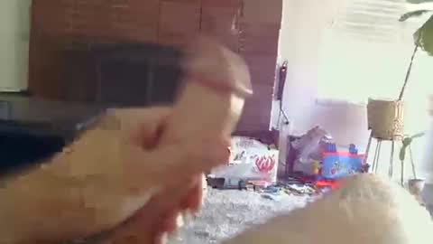 ryanbobby88 online show from 10.31.25