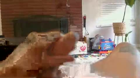 ryanbobby88 online show from 11.01.25