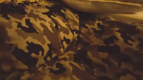 RFC666 online show from 12.11.24