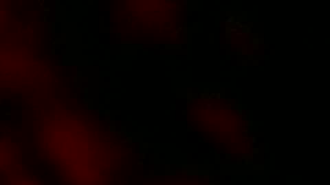 Snapshot of ryanstar7 chatting on 01.18.25 Ryan Star online show from 01.18.25