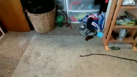 s_t_u_d_420 online show from 04.16.26