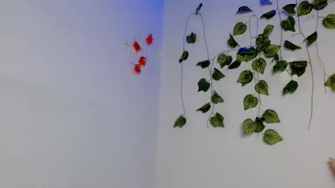 SABRI online show from 04.10.26