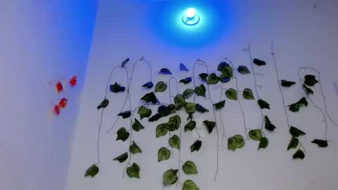 SABRI online show from 04.17.26