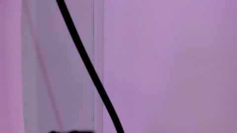 Sabrina Warren online show from 01.23.25