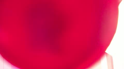 Sabrina Warren online show from 02.27.25