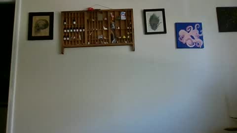 Lelo online show from 12.18.24