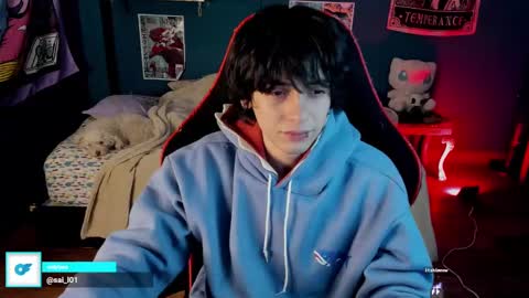 SAI online show from 01.11.25