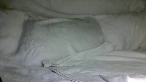 SD17 online show from 12.31.24