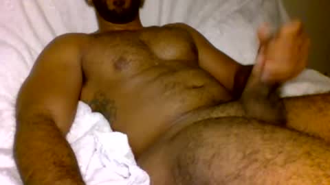 SD17 online show from 02.18.25