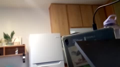 salis1981 online show from 10.06.25