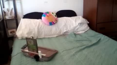 salis1981 online show from 10.17.25