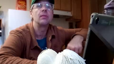 salis1981 online show from 11.21.25