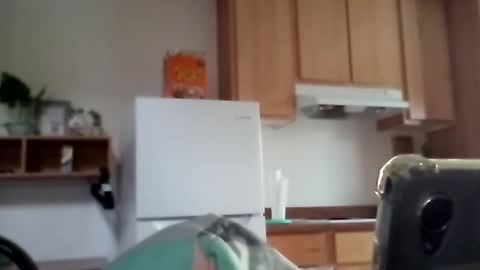 salis1981 online show from 12.17.25