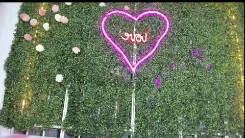 Snapshot of salome_domi chatting on 01.25.25 salome online show from 01.25.25