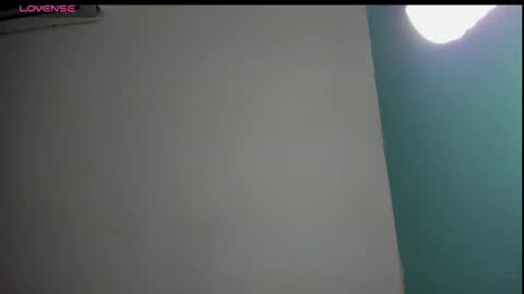 Snapshot of salome_domi chatting on 01.31.25 salome online show from 01.31.25