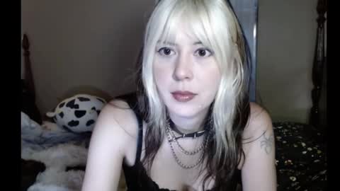 Carmen online show from 10.25.25