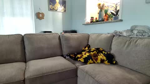 Salty Captain 69  Hat Girl 69 online show from 09.19.25