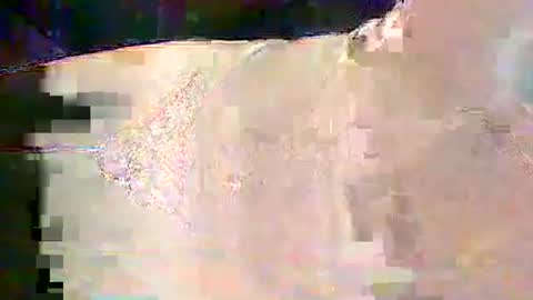 Snapshot of sam5554401727 chatting on 02.25.26 sam5554401727 online show from 02.25.26