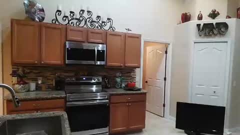 sam_papithebarber online show from 11.06.25