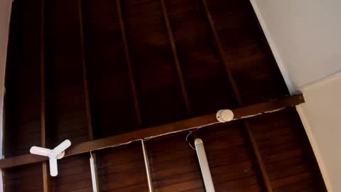 Snapshot of samanthamilan chatting on 10.24.25 Alejandra  online show from 10.24.25