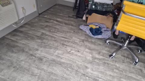 samboiamtho online show from 01.03.25