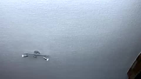 samegee online show from 10.06.25