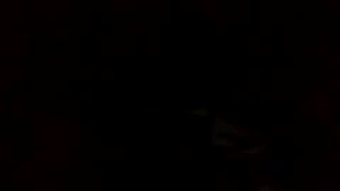 samjesss online show from 03.10.25