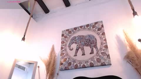 Sammy  online show from 02.01.26